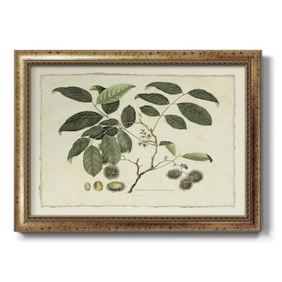 Delicate Botanical III Premium Framed Canvas- Ready to Hang