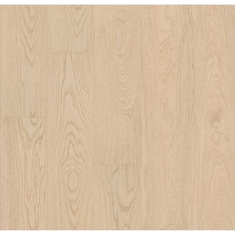 Shaw SL119 Oak Grove 51" x 8" Textured Laminate Flooring with Medium - Pampas Grass