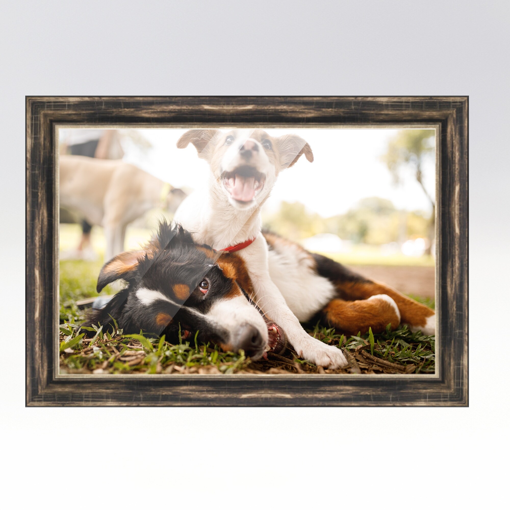 16x24 Picture Frame