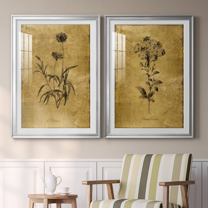 Gold Sketch Botanical I Premium Framed Print - Ready to Hang