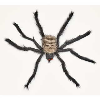 27" Spider w/ Red Flashing Eyes