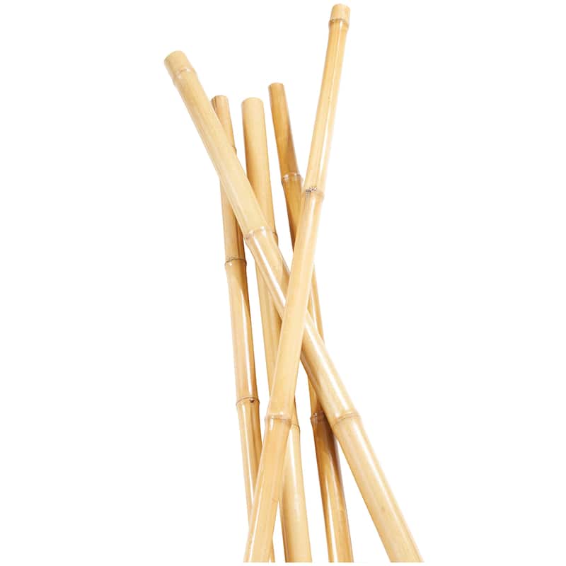 Dried Hogla Babala Bamboo Natural Foliage Collection - Multiple Colors