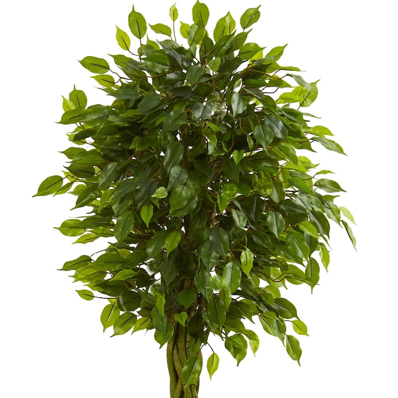 5ft Braided Ficus Artificial Tree in Slate Planter with UV Resistant Green Foliage and Braided Trunk for Indoor Use