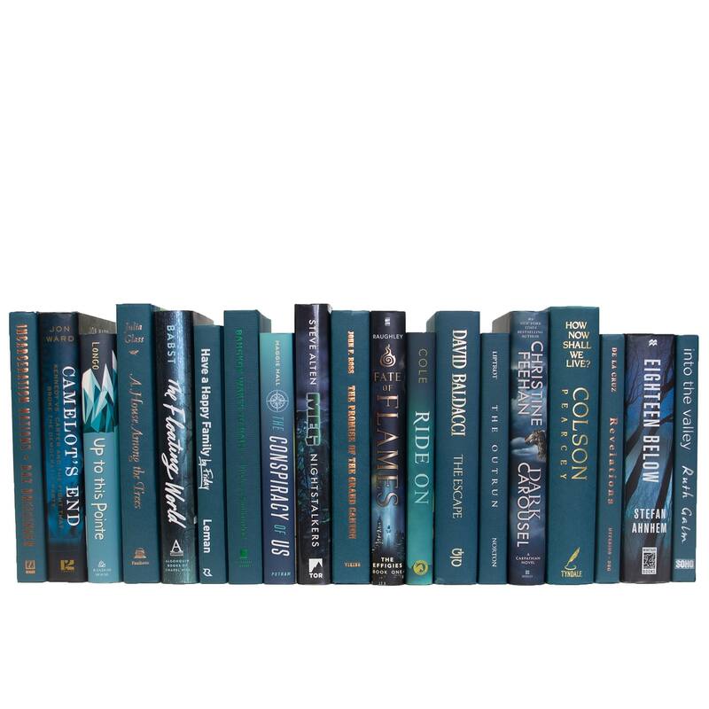 Books Blue Decorative Accessories: Winter Spruce Mixed Media Color By The Foot