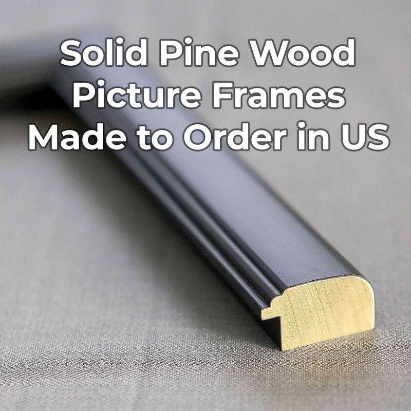 19x13 Frame Black Picture Frame - Complete Modern Photo Frame Includes