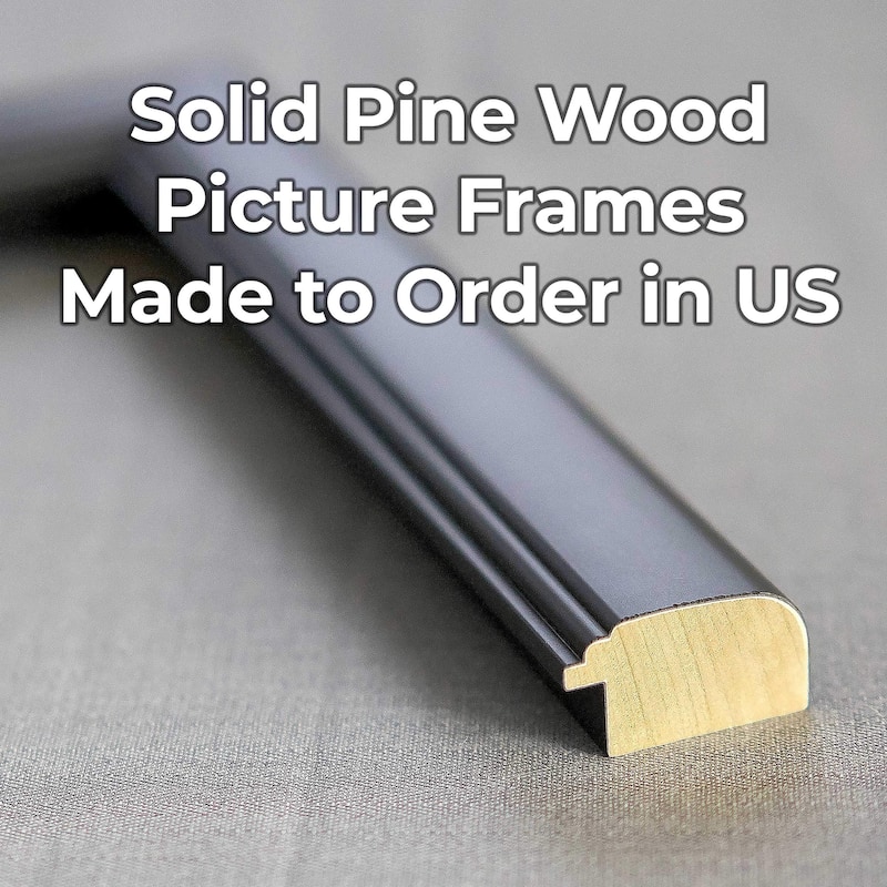 8x24 Frame Black Solid Wood Picture Frame - Complete Modern Photo