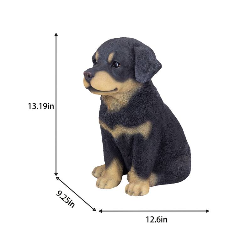 Sitting Rottweiler Puppy Outdoor Garden Statue - 13" - Black