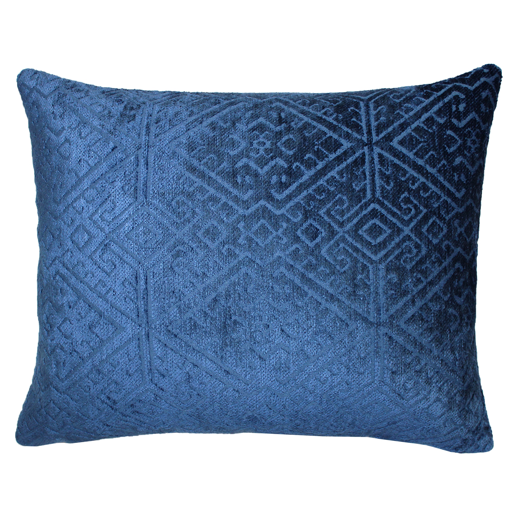 Rodeo home clearance pillows blue