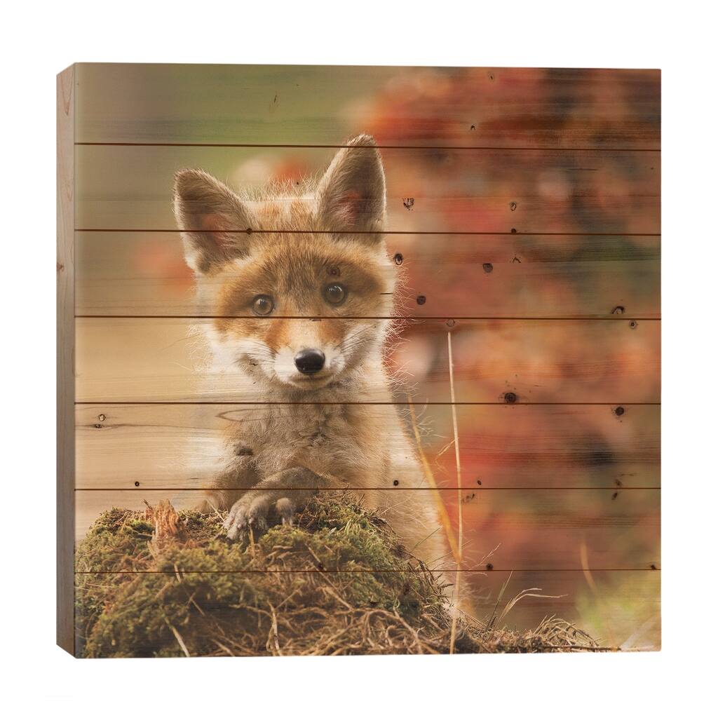 Fox Print On Wood by Robert Adamec - Multi-Color