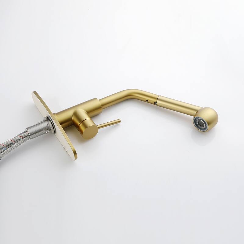 Topcraft Kitchen Faucets with Pull Down & Pull Out Sprayer