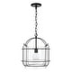 preview thumbnail 1 of 2, Harmon 14.25" 1-light Matte Black Pendant w/ Clear Seeded Glass & Outer Cage