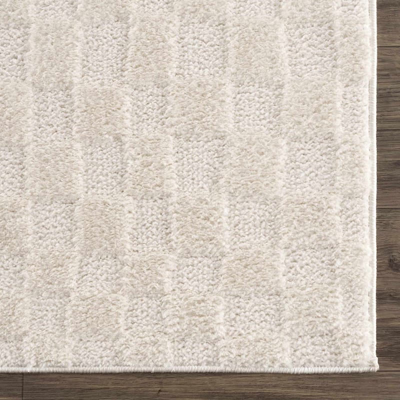 Hauteloom Keesa Hallway, Kitchen Runner Rug - High Pile - Off White - 2'7" x 7'3"