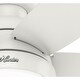 preview thumbnail 10 of 22, Hunter Lilliana Low Profile Ceiling Fan w/LED Light Kit, Pull Chain, Exclusive SureSpeed - Modern, Transitional