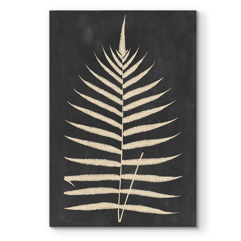 Linen Fern III -Premium Gallery Wrapped Canvas