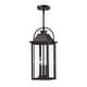 preview thumbnail 16 of 20, Brits 3-Light Outdoor Pendant Light