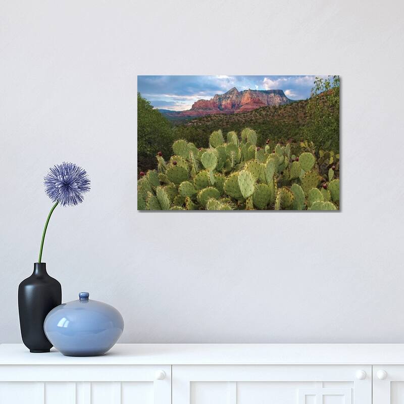 iCanvas "Opuntia Cactus And Mountain, Red Rock-Secret Mountain Wilderness, Arizona" by Tim Fitzharris Canvas Print - 12x18x1.5