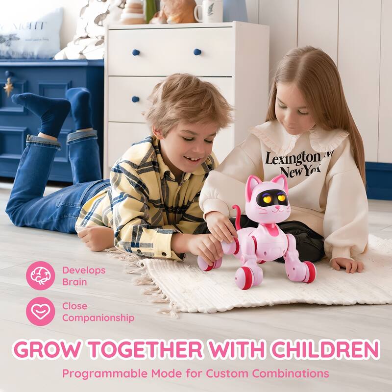 Remote Control Robot Cat/Dog Toy for Age 3 4 5 6 7 8 10 Year Old Boys Girls