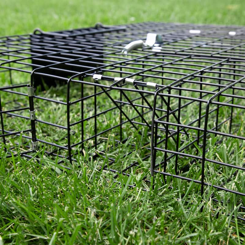 Rugged Ranch SQRTO Squirrelinator Trap CatchMor Live Animal 2 Door Metal Cage - 24.5 x 24.5 x 5 inches