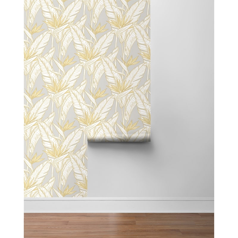 Stacy Garcia Home Birds of Paradise Peel and Stick Wallpaper