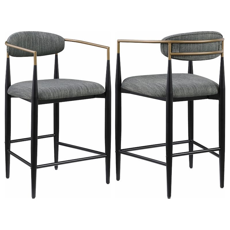 Tina Fabric Upholstered Metal Armrests Chairs (Set of 2)