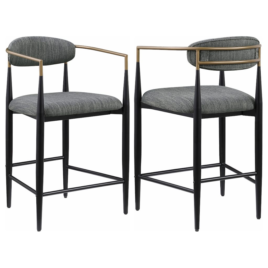 Tina Fabric Upholstered Metal Armrests Chairs (Set of 2)