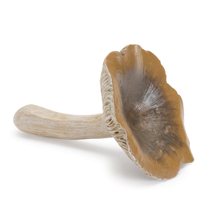 Stone Mushroom Shelf Sitter (Set of 12)