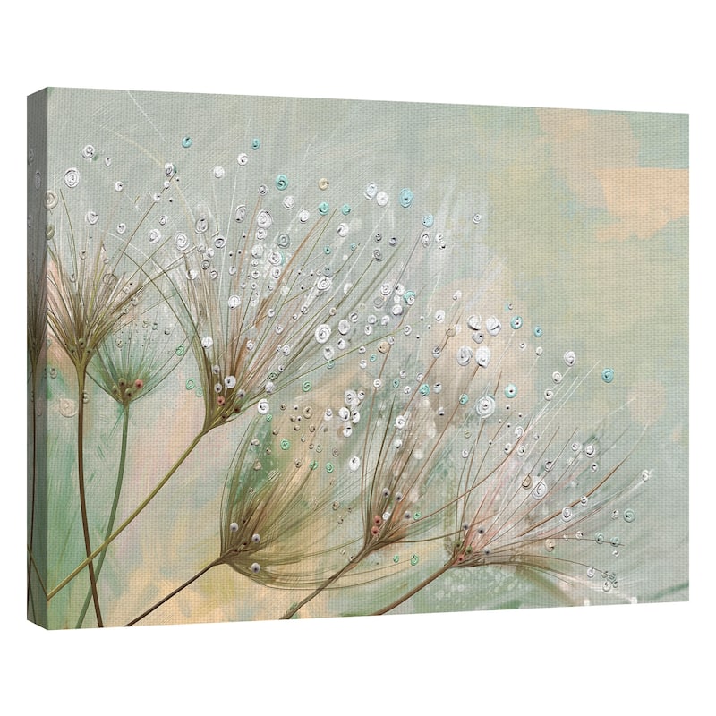 Dewdrop Colors by Studio Arts Canvas Art Print