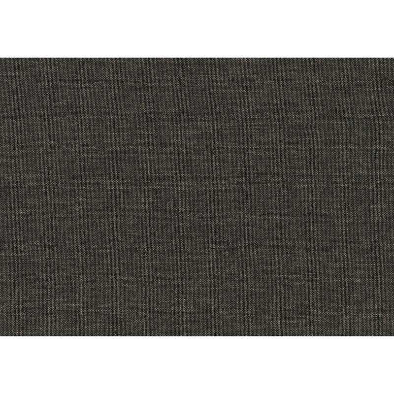 Gray Fabric Upholstered 1pc Day Bed with Pull-out Trundle Nailhead Trim Wood Frame Furniture