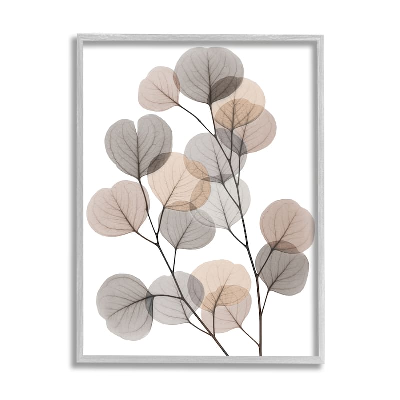 Stupell Modern Eucalyptus Leaf Stems Translucent Brown Grey Leaves Framed Wall Art