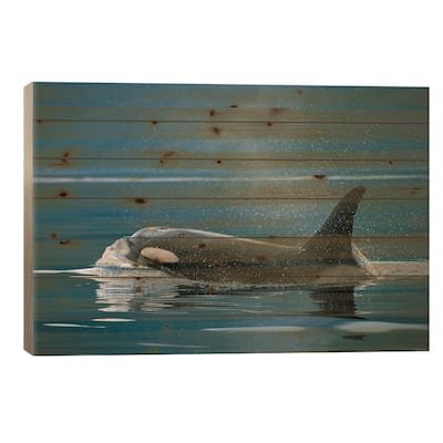 Orca, Johnstone Strait, British Colombia, Canada Print On Wood by Hiroya Minakuchi - Multi-Color