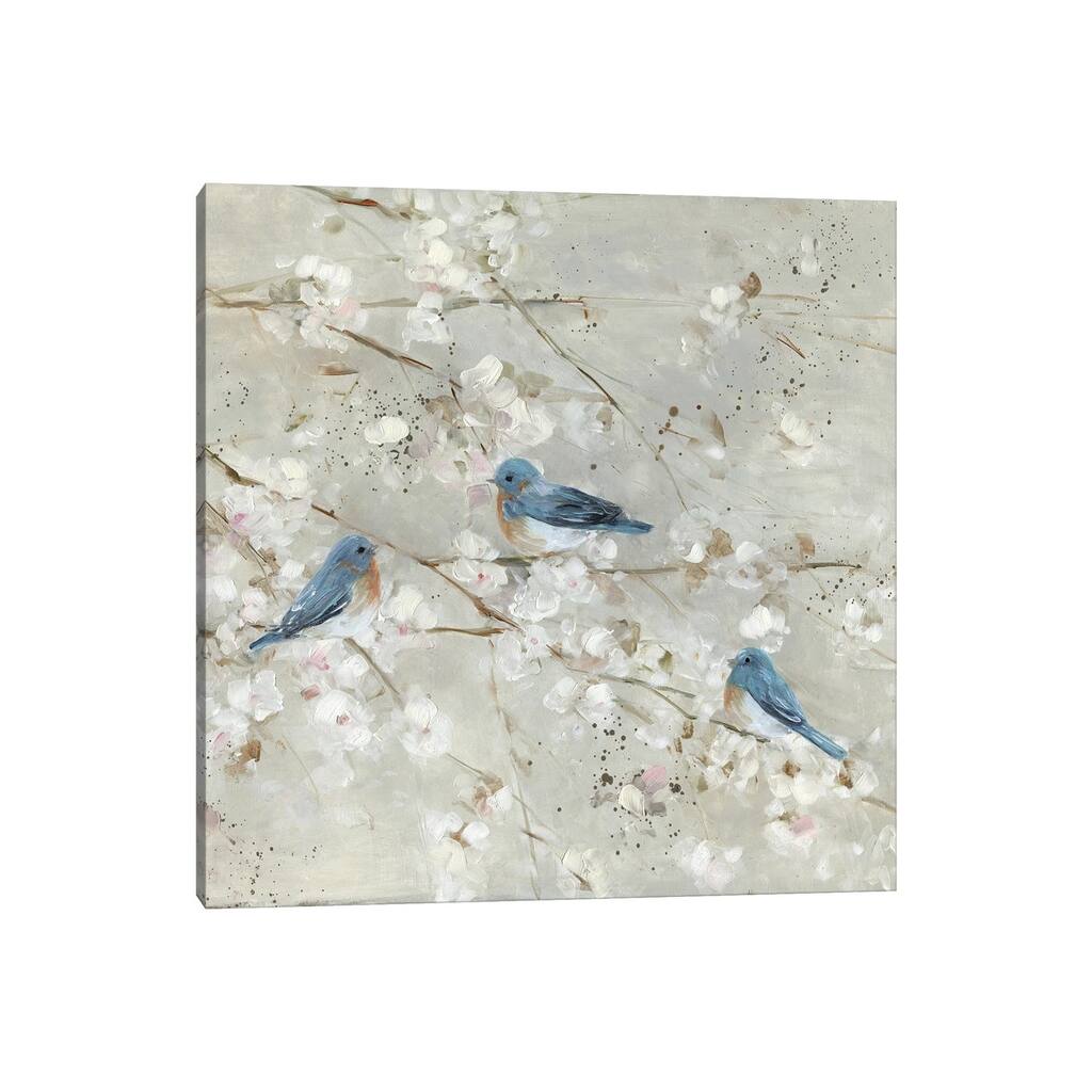 iCanvas "Blue Bird Melody II" by Sally Swatland Canvas Print