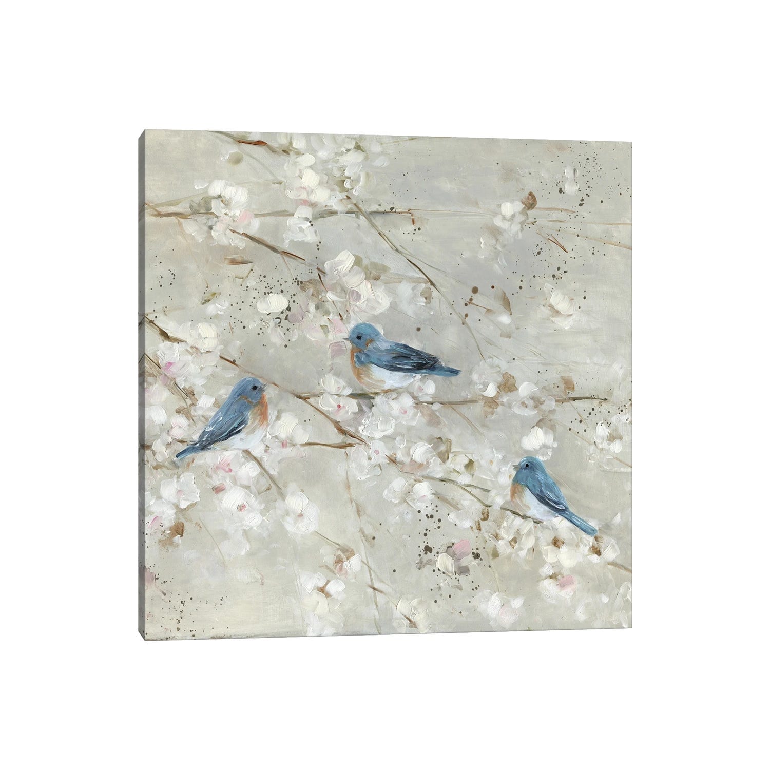 iCanvas "Blue Bird Melody II" by Sally Swatland Canvas Print