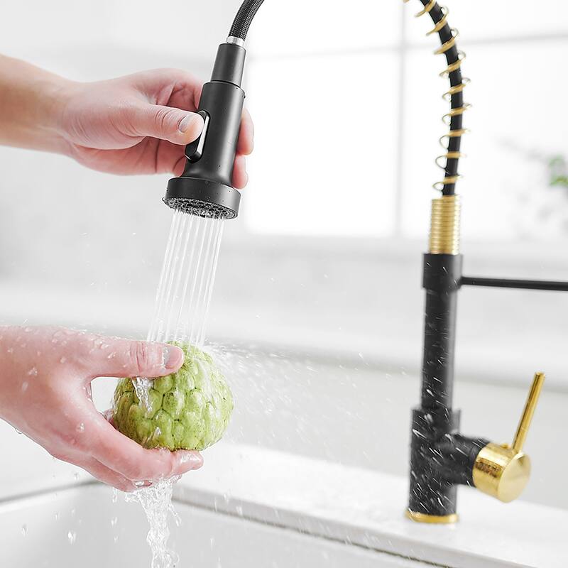 Modern Black Spring Single-handle Pull-down Kitchen Sink Faucet