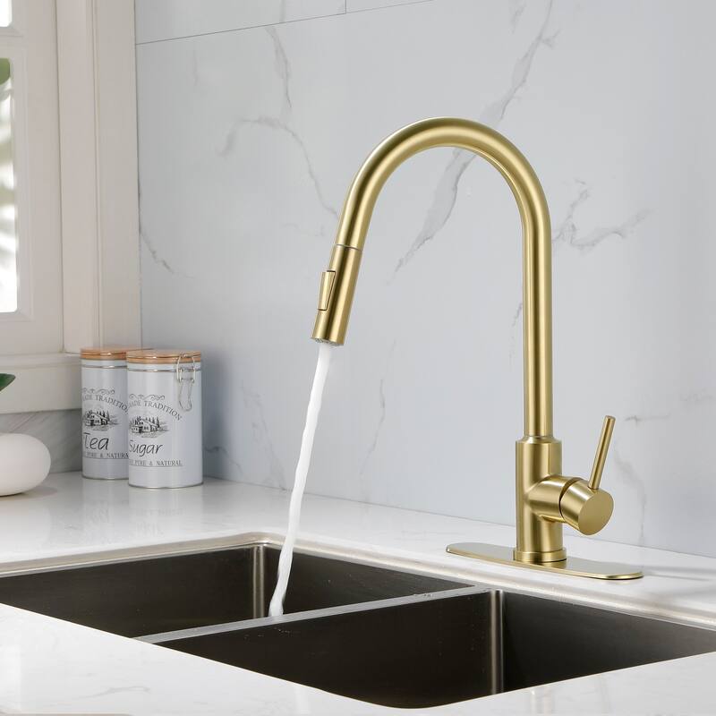 2-Function 1-Handle Pulldown Kitchen Faucet