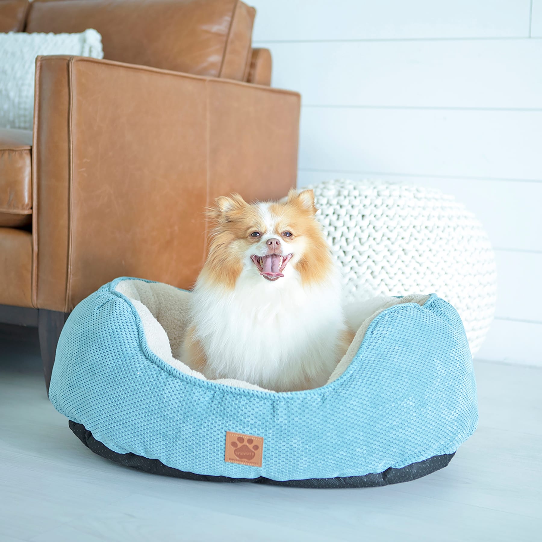 Precision Snoozzy Mod Chic Daydreamer Dog Bed On Sale Overstock 15372078 26 X 22 X 10 Black