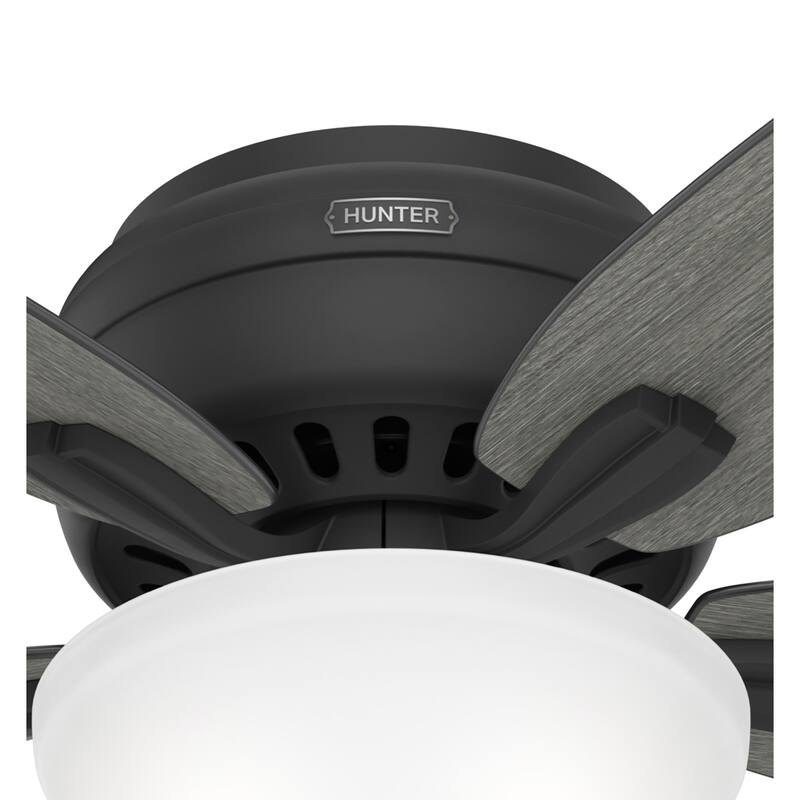 Hunter 52" Newsome Flush Mount Ceiling Fan with LED Bowl Light Kit and Pull Chain