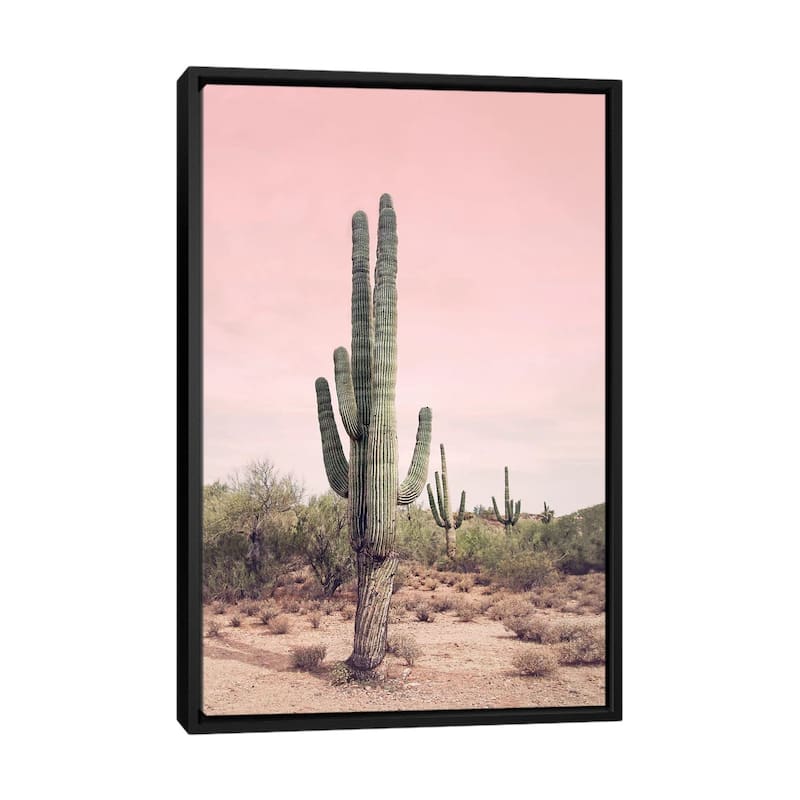 iCanvas "Desert Cactus Blush" by Sisi & Seb Framed Canvas Print - Black - 40x26