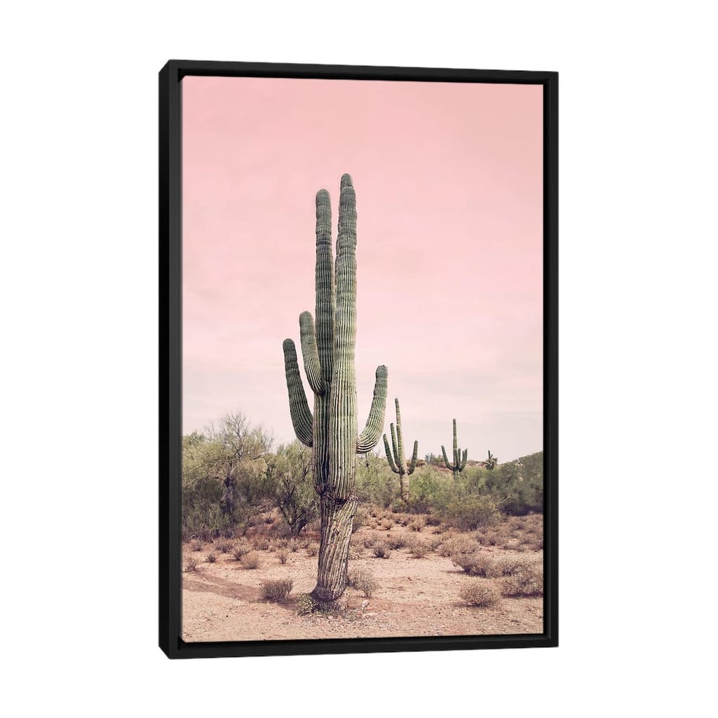 iCanvas "Desert Cactus Blush" by Sisi & Seb Framed Canvas Print
