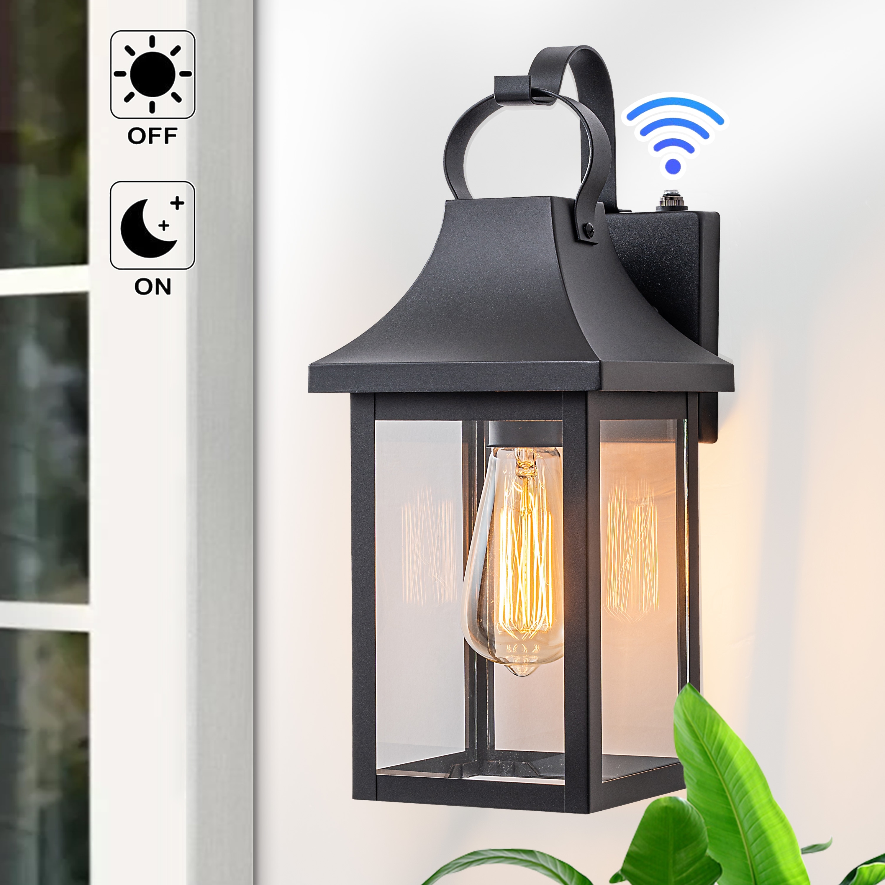 C Cattleya 1-Light Matte Black Dusk to Dawn Outdoor Wall Sconce Lantern