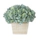 preview thumbnail 2 of 20, Faux Hydrangea in White Washed Wood Cube Planter