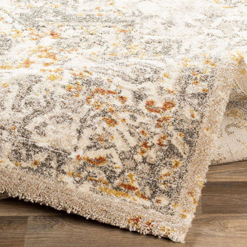 Artistic Weavers Pienza Plush Traditional Medallion Area Rug