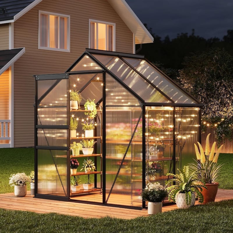 6x4FT Walk-in Polycarbonate Greenhouse for Outdoors Winter Gardening, Black