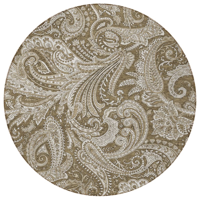 HomeRoots Paisley Transitional Rectangle Outdoor Rug