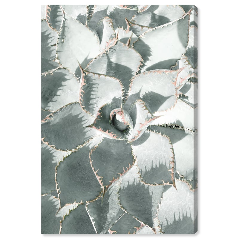 Wynwood Studio Canvas Floral and Botanical Succulent Zoom V Green and Pastel Green Tropical Wall Art Canvas Print