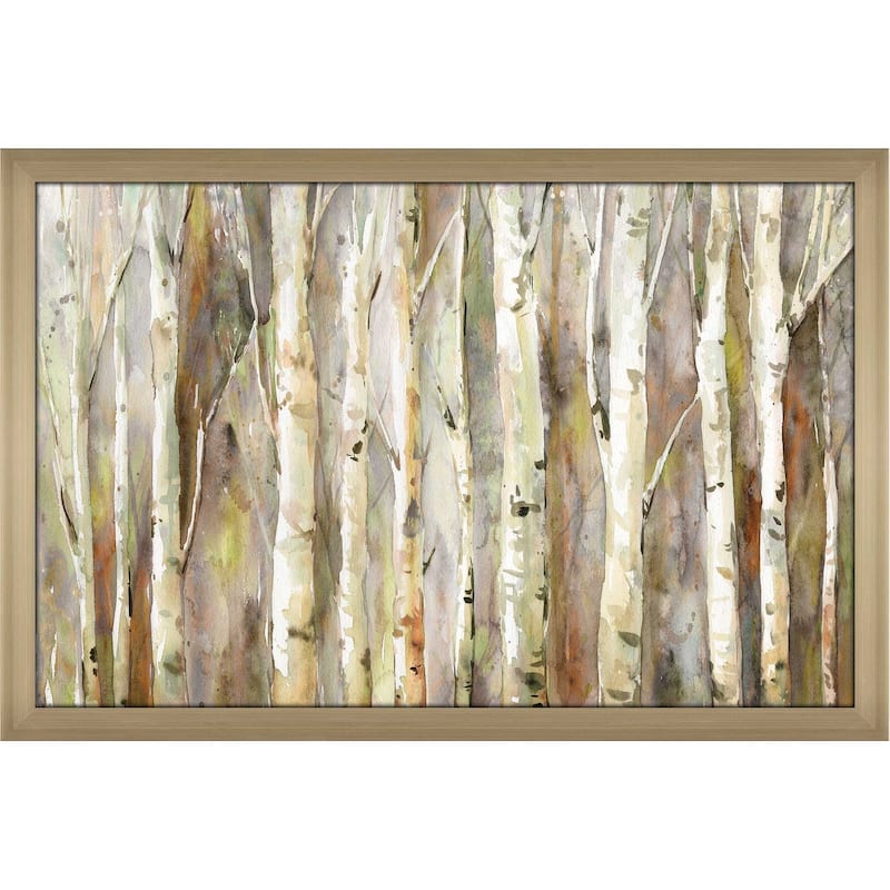 "Birch Path" by Carol Robinson Print on Acrylic