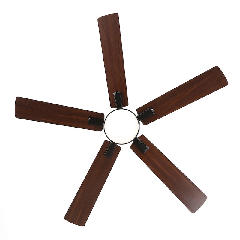 52-IN LED Ceiling Fan with Light Kit and Remote- 5 Blade