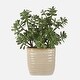 preview thumbnail 1 of 3, Uttermost Crassula Jade Accent Plant