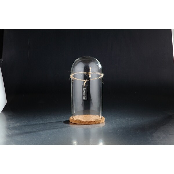 10.5" Clear Cloche Terrarium Glass Vase - N/A