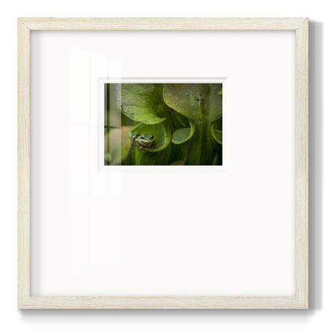 Arboreal RefugePremium Framed Print