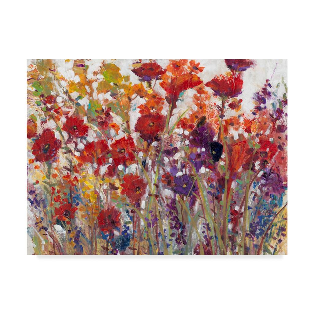 Tim Otoole 'Variety Of Flowers I' Canvas Art